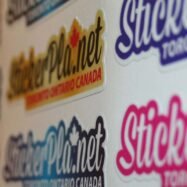 Custom Removable Vinyl Stickers